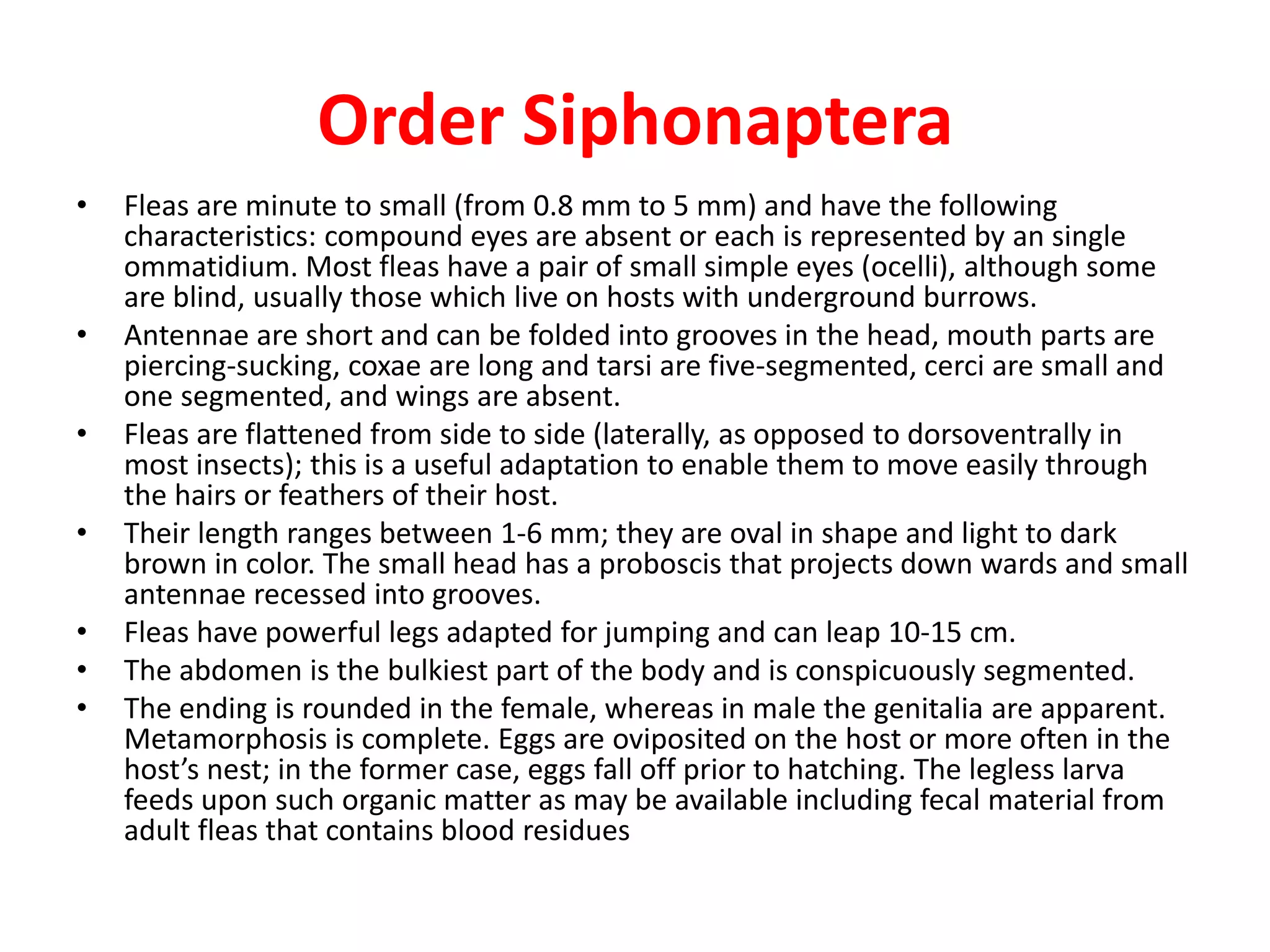 Order Siphonaptera
• Fleas are minute to small (from 0.8 mm to 5 mm) and have the following
characteristics: compound eyes are absent or each is represented by an single
ommatidium. Most fleas have a pair of small simple eyes (ocelli), although some
are blind, usually those which live on hosts with underground burrows.
• Antennae are short and can be folded into grooves in the head, mouth parts are
piercing-sucking, coxae are long and tarsi are five-segmented, cerci are small and
one segmented, and wings are absent.
• Fleas are flattened from side to side (laterally, as opposed to dorsoventrally in
most insects); this is a useful adaptation to enable them to move easily through
the hairs or feathers of their host.
• Their length ranges between 1-6 mm; they are oval in shape and light to dark
brown in color. The small head has a proboscis that projects down wards and small
antennae recessed into grooves.
• Fleas have powerful legs adapted for jumping and can leap 10-15 cm.
• The abdomen is the bulkiest part of the body and is conspicuously segmented.
• The ending is rounded in the female, whereas in male the genitalia are apparent.
Metamorphosis is complete. Eggs are oviposited on the host or more often in the
host’s nest; in the former case, eggs fall off prior to hatching. The legless larva
feeds upon such organic matter as may be available including fecal material from
adult fleas that contains blood residues
 