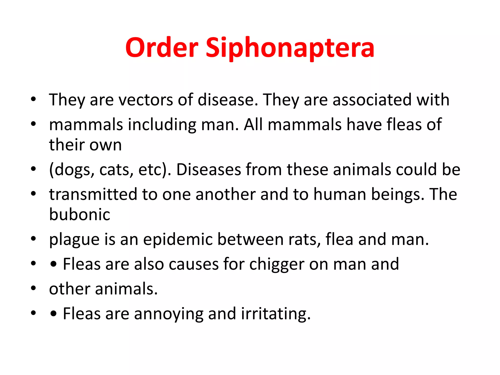 Order Siphonaptera
• They are vectors of disease. They are associated with
• mammals including man. All mammals have fleas of
their own
• (dogs, cats, etc). Diseases from these animals could be
• transmitted to one another and to human beings. The
bubonic
• plague is an epidemic between rats, flea and man.
• • Fleas are also causes for chigger on man and
• other animals.
• • Fleas are annoying and irritating.
 