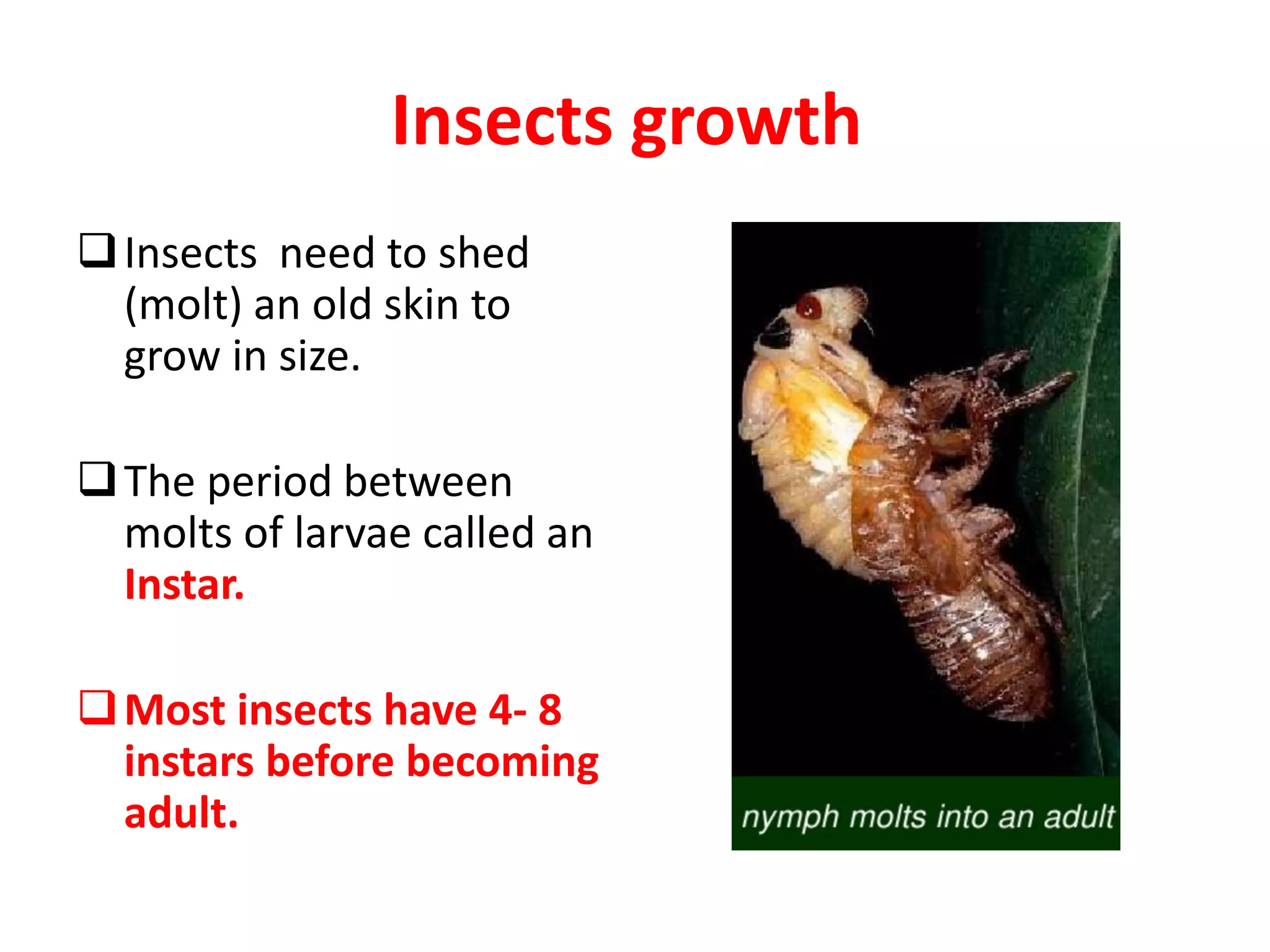 Insects growth
Insects need to shed
(molt) an old skin to
grow in size.
The period between
molts of larvae called an
Instar.
Most insects have 4- 8
instars before becoming
adult.
 