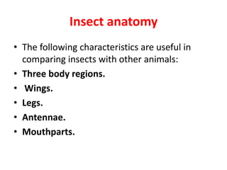 Insect anatomy
• The following characteristics are useful in
comparing insects with other animals:
• Three body regions.
• Wings.
• Legs.
• Antennae.
• Mouthparts.
 