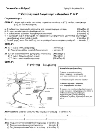 Γενικό Λύκειο Νυδριού Τρίτη 29 Απριλίου 2014
1ο
Επαναληπτικό Διαγώνισμα – Κεφάλαια 1ο
& 9ο
Ονοματεπώνυμο : .…………………………………….………...........................................
ΘΕΜΑ 1ο
: Χαρακτηρίστε κάθε μια από τις παρακάτω προτάσεις με ( Σ ), αν είναι σωστή και με
( Λ ), αν είναι λανθασμένη:
α) Ο ανθρώπινος οργανισμός αποτελείται από τρισεκατομμύρια κύτταρα. ( Μονάδες 5 )
β) Το αίμα αποτελείται από τρία είδη κυττάρων. ( Μονάδες 5 )
γ) Η μεσοκυττάρια ουσία δεν περιέχει πρωτεϊνικά ινίδια. ( Μονάδες 5 )
δ) Η εξοικείωση είναι η αναγνώριση ενός ερεθίσματος ως σημαντικού, με συνέπεια ο οργανισμός
να μαθαίνει να μην αντιδρά σε αυτό. ( Μονάδες 5 )
ε) Το ΑΝΣ χωρίζεται σε δύο κλάδους, στο συμπαθητικό και στο παρασυμπαθητικό. ( Μονάδες 5 )
ΘΕΜΑ 2ο
:
Α) α) Τι είναι ο επιθηλιακός ιστός ; ( Μονάδες 6 )
β) Ποιος είναι ο ρόλος του επιθηλιακού ιστού ; ( Μονάδες 6 )
Β) α) Γιατί είναι απαραίτητη η μνήμη του εγκέφαλου ; ( Μονάδες 5 )
β) Τι είναι η βραχυπρόθεσμη μνήμη ; ( Μονάδες 4 )
γ) Τι είναι η μακροπρόθεσμη μνήμη ; ( Μονάδες 4 )
ΘΕΜΑ 3ο
:
1η
ενότητα – Νευρώνες
Α) Ονομάστε τα μέρη του νευρώνα, που δείχνουν οι γραμμές. ( Μονάδες 7 )
1 …………………..... 2 …………………………. 3 ………………..……… 4 …………….……………
5 ……………………… 6 …………………………. 7 …………………………
Β) α) Πως λειτουργούν οι αισθητικοί νευρώνες ; ( Μονάδες 2 )
β) Πως λειτουργούν οι κινητικοί νευρώνες ; ( Μονάδες 2 )
γ) Πως λειτουργούν οι ενδιάμεσοι νευρώνες ; ( Μονάδες 2 )
Νευρικό κύτταρο ή νευρώνας
Τα όργανα του νευρικού συστήματος,
δηλαδή ο εγκέφαλος, ο νωτιαίος μυελός
και τα νεύρα αποτελούνται από νευρικό ιστό.
Τα κύτταρα του νευρικού ιστού είναι δύο ειδών:
τα νευρικά κύτταρα ή νευρώνες
και τα νευρογλοιακά κύτταρα.
Οι νευρώνες, που αποτελούν τη δομική και λειτουργική
μονάδα του νευρικού συστήματος, έχουν την ιδιότητα να
αντιδρούν σε συγκεκριμένες μεταβολές του
περιβάλλοντος, όπως είναι η μεταβολή της
θερμοκρασίας, της πίεσης, της έντασης του φωτός, του
pH κ.ά.
 