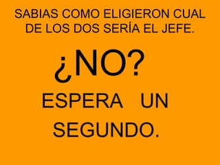 SABIAS COMO ELIGIERON CUAL DE LOS DOS SERÍA EL JEFE. <ul><li>¿NO? </li></ul><ul><li>ESPERA  UN </li></ul><ul><li>SEGUNDO. ...
