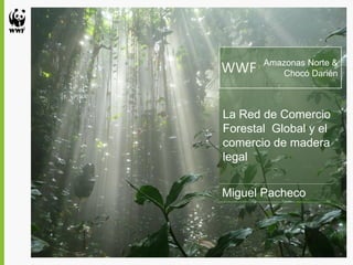 Amazonas Norte &
WWF       Chocó Darién



La Red de Comercio
Forestal Global y el
comercio de madera
legal


Miguel Pacheco
 