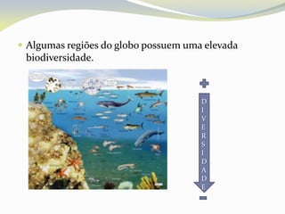  Algumas regiões do globo possuem uma elevada
biodiversidade.
D
I
V
E
R
S
I
D
A
D
E
 
