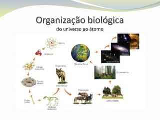 Organização biológica
do universo ao átomo
 