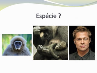 Espécie ?
 