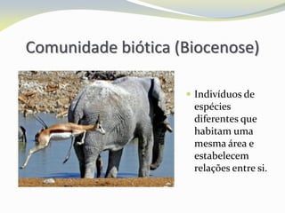 Comunidade biótica (Biocenose)
 Indivíduos de
espécies
diferentes que
habitam uma
mesma área e
estabelecem
relações entre si.
 