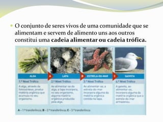 O conjunto de seres vivos de uma comunidade que se
alimentam e servem de alimento uns aos outros
constitui uma cadeia alimentar ou cadeia trófica.
 