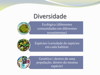 Diversidade
Ecológica (diferentes
comunidades em diferentes
ecossistemas)
Espécies (variedade de espécies
em cada habitat)
Genética ( dentro de uma
população, dentro da mesma
espécie)
 