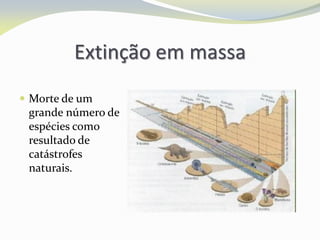 Extinção em massa
 Morte de um
grande número de
espécies como
resultado de
catástrofes
naturais.
 