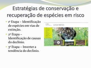 Estratégias de conservação e
recuperação de espécies em risco
 1ª Etapa – Identificação
de espécies em vias de
extinção.
 2ª Etapa –
Identificação de causas
do declínio.
 3ª Etapa – Inverter a
tendência do declínio.
 