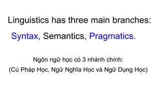 Linguistics has three main branches:
Syntax, Semantics, Pragmatics.
Ngôn ngữ học có 3 nhánh chính:
(Cú Pháp Học, Ngữ Nghĩa Học và Ngữ Dụng Học)
 