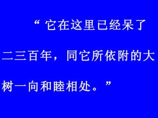 “ 它在这里已经呆了二三百年，同它所依附的大树一向和睦相处。”  