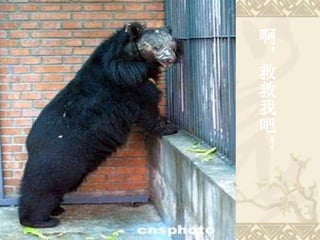 啊，救救我吧！ 