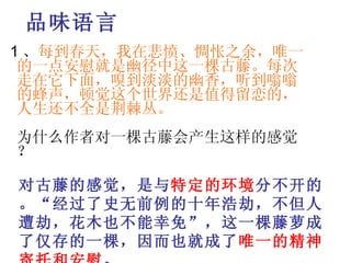 品味语言   1 、 每到春天，我在悲愤、惆怅之余，唯一的一点安慰就是幽径中这一棵古藤。每次走在它下面，嗅到淡淡的幽香，听到嗡嗡的蜂声，顿觉这个世界还是值得留恋的，人生还不全是荆棘丛。   为什么作者对一棵古藤会产生这样的感觉？     对古藤的感觉，是与 特定的环境 分不开的。“经过了史无前例的十年浩劫，不但人遭劫，花木也不能幸免”，这一棵藤萝成了仅存的一棵，因而也就成了 唯一的精神寄托和安慰 。   