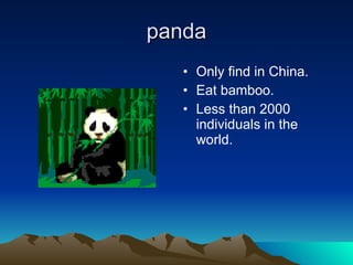 panda Only find in China. Eat bamboo. Less than 2000 individuals in the world. 