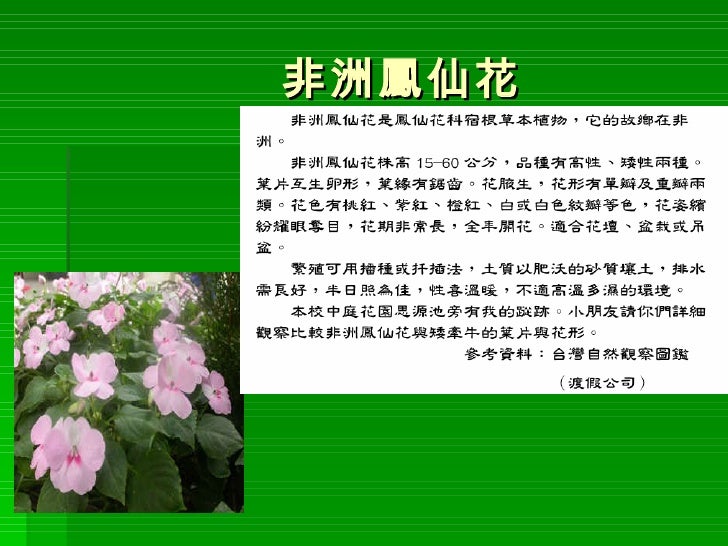 1號林長泰 1號林長泰