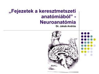 „ Fejezetek a keresztmetszeti anatómiából” - Neuroanatómia  Dr. Jakab András 