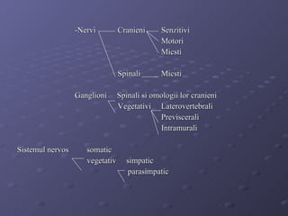 -Nervi   Cranieni Senzitivi Motori Micsti     Spinali Micsti Ganglioni  Spinali si omologii lor cranieni   Vegetativi  Laterovertebrali Previscerali Intramurali Sistemul nervos  somatic   vegetativ  simpatic   parasimpatic 