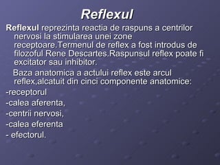 Reflexul  Reflexul  reprezinta reactia de raspuns a centrilor nervosi la stimularea unei zone receptoare.Termenul de reflex a fost introdus de  filozoful Rene Descartes.Raspunsul reflex poate fi excitator sau inhibitor. Baza anatomica a actului reflex este arcul reflex,alcatuit din cinci componente anatomice: -receptorul -calea aferenta, -centrii nervosi, -calea eferenta  - efectorul. 