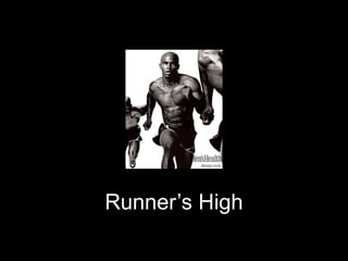 Runner’s High
 