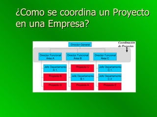¿Como se coordina un Proyecto en una Empresa? 