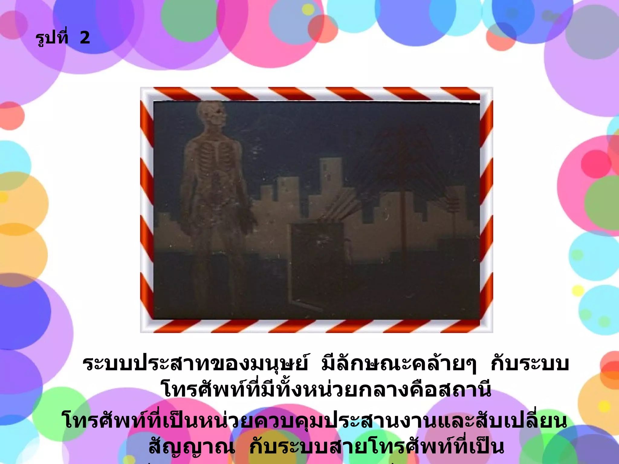 ระบบประสาทของมนุษย์  มีลักษณะคล้ายๆ  กับระบบโทรศัพท์ที่มีทั้งหน่วยกลางคือสถานี โทรศัพท์ที่เป็นหน่วยควบคุมประสานงานและสับเปลี่ยนสัญญาณ  กับระบบสายโทรศัพท์ที่เป็น สายส่งไปทั่วทุกหนทุกแห่งในชุมชนที่อาจจะมีผู้คนนับเป็นล้านๆ รูปที่   2 