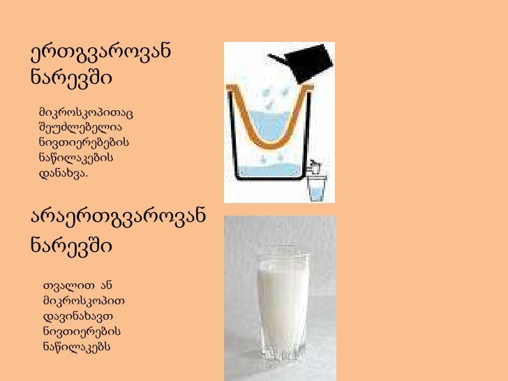 მაია1