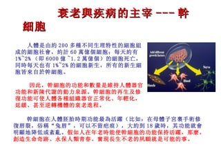 衰老與疾病的 主宰 --- 幹細胞 人體是由約 200 多種不同生理特性的細胞組成的細胞社會，約計 60 萬億個細胞；每天約有 1%~2% （即 6000 億 ~1.2 萬億個）的細胞死亡，同時每天也有 1%~2% 的細胞新生 ， 所有的新生細胞皆來自於幹細胞 。 因此，幹細胞的功能和數量是維持人體器官功能和新陳代謝的動力泉源。幹細胞的再生及修復功能可使人體各種組織器官正常化、年輕化，延緩、甚至逆轉機體的衰老進程。 幹細胞在人體胚胎時期功能最為活躍（比如：在母體子宮裏手術修復唇裂，俗稱“兔唇”，可以不留疤痕），大約到 18 歲時，其功能就會明顯地降低 或紊亂 。 假如人在年老時能使幹細胞的功能保持活躍，那麼，創造生命奇跡、永 保 人類青春、實現長生不老的夙願就是可能的事。 
