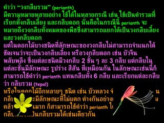 คำว่า “วงกลีบรวม”  (perianth)   มีความหมายหลายอย่าง ใช้ได้ในหลายกรณี เช่น ใช้เป็นคำรวมที่เรียกทั้งกลีบเลี้ยง และกลีบดอก นั่นคือในกรณีนี้  perianth   จะหมายถึงวงกลีบทั้งหมดของพืชซึ่งสามารถแยกได้เป็นวงกลีบเลี้ยงและวงกลีบดอก  แต่ในดอกไม้บางชนิดที่ลักษณะของวงกลีบไม่สามารถจำแนกได้ชัดเจนว่าจะเป็นวงกลีบเลี้ยง หรือวงกลีบดอก เช่น บัวจีน พลับพลึง ซึ่งแต่ละชนิดมีวงกลีบ  2  ชั้น ๆ ละ  3  กลีบ แต่กลีบในแต่ละชั้นมีลักษณะ รูปร่าง สีสัน ที่เหมือนกัน ในลักษณะเช่นนี้ก็สามารถใช้คำว่า  perianth   แทนกลีบทั้ง  6  กลีบ และเรียกแต่ละกลีบว่า กลีบรวม  (tepal)   หรือในดอกไม้อีกหลายๆ ชนิด เช่น บัวหลวง จำปี จำปา ที่มีจำนวนกลีบมากและมีลักษณะที่ไม่แตก ต่างกันอย่างเด่นชัด หรือมีความคล้ายคลึงกันมาก ก็สามารถใช้คำว่า  perianth   ได้และเรียกแต่ละกลีบนั้นว่าเป็นกลีบรวมได้เช่นเดียวกัน 