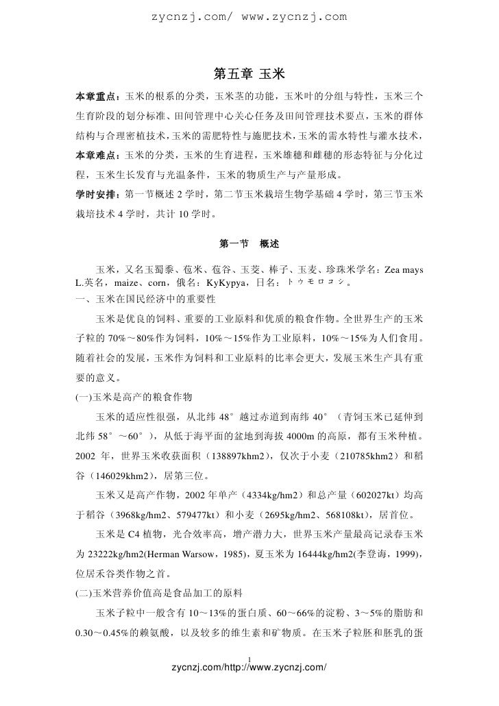 第五章玉米 1