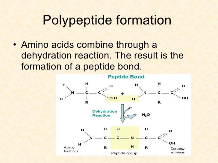 A QUICK GLANCE AT PROTEIN STRUCTURE