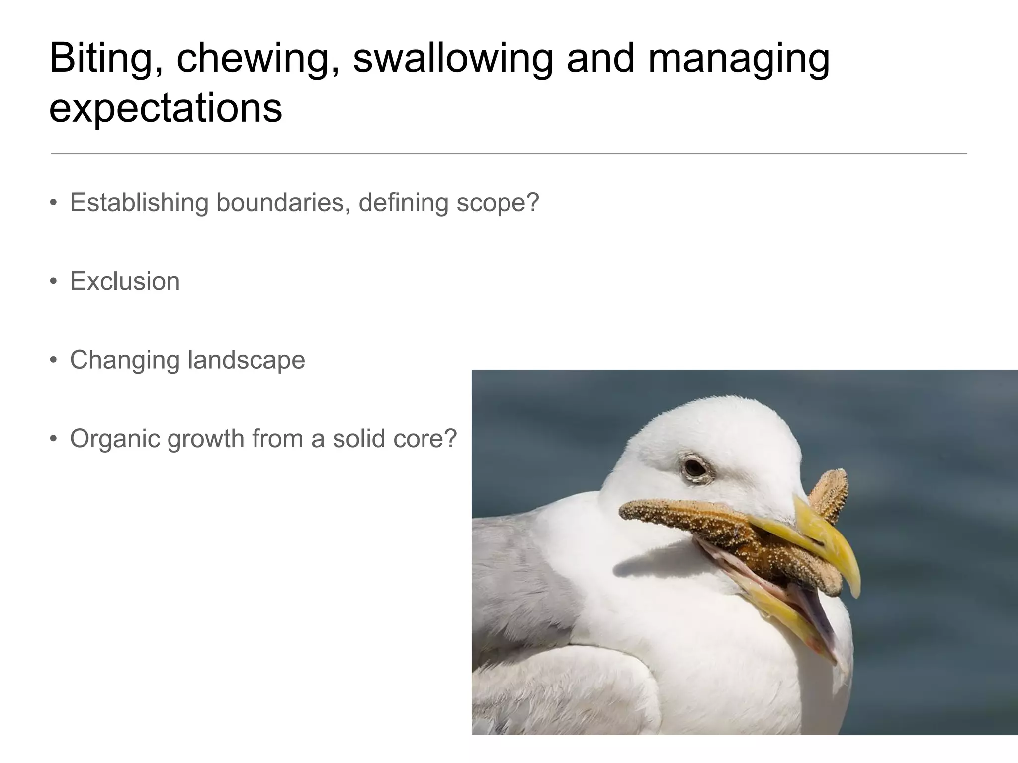 Biting, chewing, swallowing and managing
expectations

• Establishing boundaries, defining scope?


• Exclusion


• Changing landscape


• Organic growth from a solid core?
 