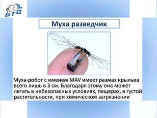 Муха разведчик
Муха-робот с именем MAV имеет размах крыльев
всего лишь в 3 см. Благодаря этому она может
летать в небезопасных условиях, пещерах, в густой
растительности, при химическом загрязнении
 