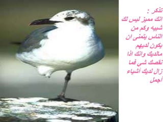 ‫تذكر‬:
‫لك‬ ‫ليس‬ ‫مميز‬ ‫انك‬
‫من‬ ‫وكم‬ ‫شبيه‬
‫يتمنى‬ ‫الناس‬‫ان‬
‫لديهم‬ ‫يكون‬
‫مالديك‬‫وانك‬‫اذا‬
‫فما‬ ‫شي‬ ‫نقصك‬
‫أشياء‬ ‫لديك‬ ‫زال‬
‫أجمل‬
 