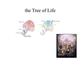 the Tree of Life 
