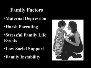 Family Factors Maternal Depression Harsh Parenting Stressful Family Life Events Low Social Support Family Instability 