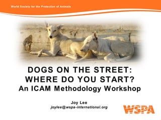 World Society for the Protection of Animals
DOGS ON THE STREET:
WHERE DO YOU START?
An ICAM Methodology Workshop
Joy Lee
joylee@wspa-international.org
 