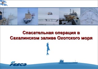 Спасательная операция в Сахалинском заливе Охотского моря 