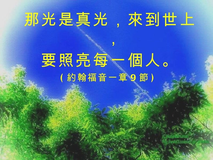 真1 遇見真光