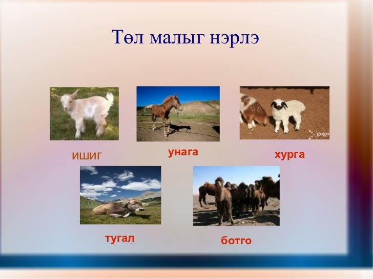 мал 1
