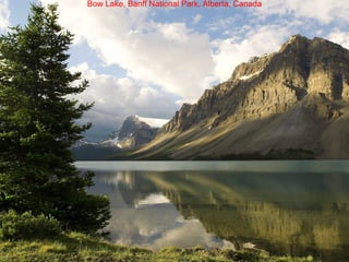 Bow Lake, Banff National Park, Alberta, Canada
 