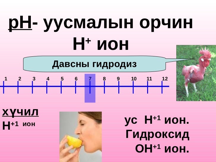 цахим үзүүлэн1