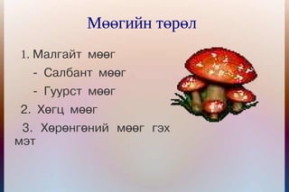 Мөөгийн төрөл
1. Малгайт мөөг
  - Салбант мөөг
  - Гуурст мөөг
2. Хөгц мөөг
 3. Хөрөнгөний мөөг гэх
мэт
 