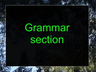 Grammar section 