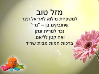 מזל טוב למשפחת מילוא לאריאל ונצרשחובקים בן – "נרי"נכד לנורית ונתןואח קטן לליאם.ברכות חמות מבית שריד