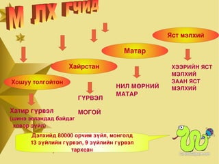 Гадаад бүтэц,амьдралын үйл ажиллагаагаар харилцан адилгүй. 