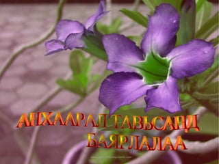 ШУВУУ 