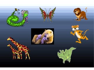 Хүүхдүүд ээ  ! Ямар амьтдыг  сээр нуруутан амьтад гэх вэ? Мэдэх амьтдаасаа нэрлээрэй! 