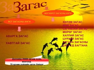 Сээр нуруутан амьтдын  нийтлэг шинж Хамгийн дээд зэргийн хөгжилтэй. 